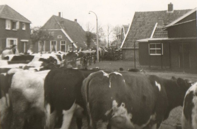 Afbeelding invoegen